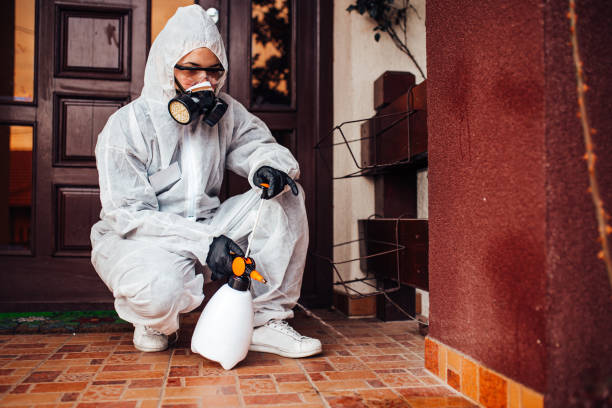 Reliable Cockroach Control contractor in Fairfax, SC by Nex Pest Control